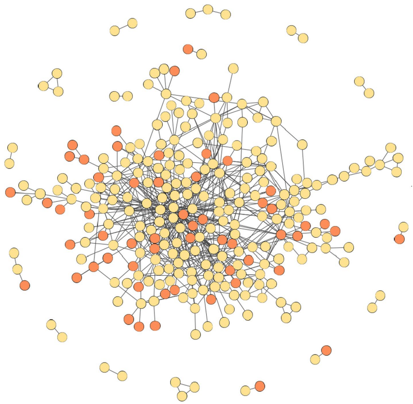 Network